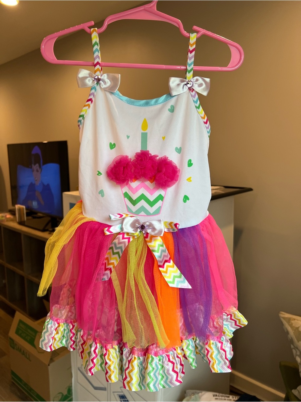 Toddler Girls Colorful Birthday Dress with Tulle Tutu & Cupcake Size 2T GUC